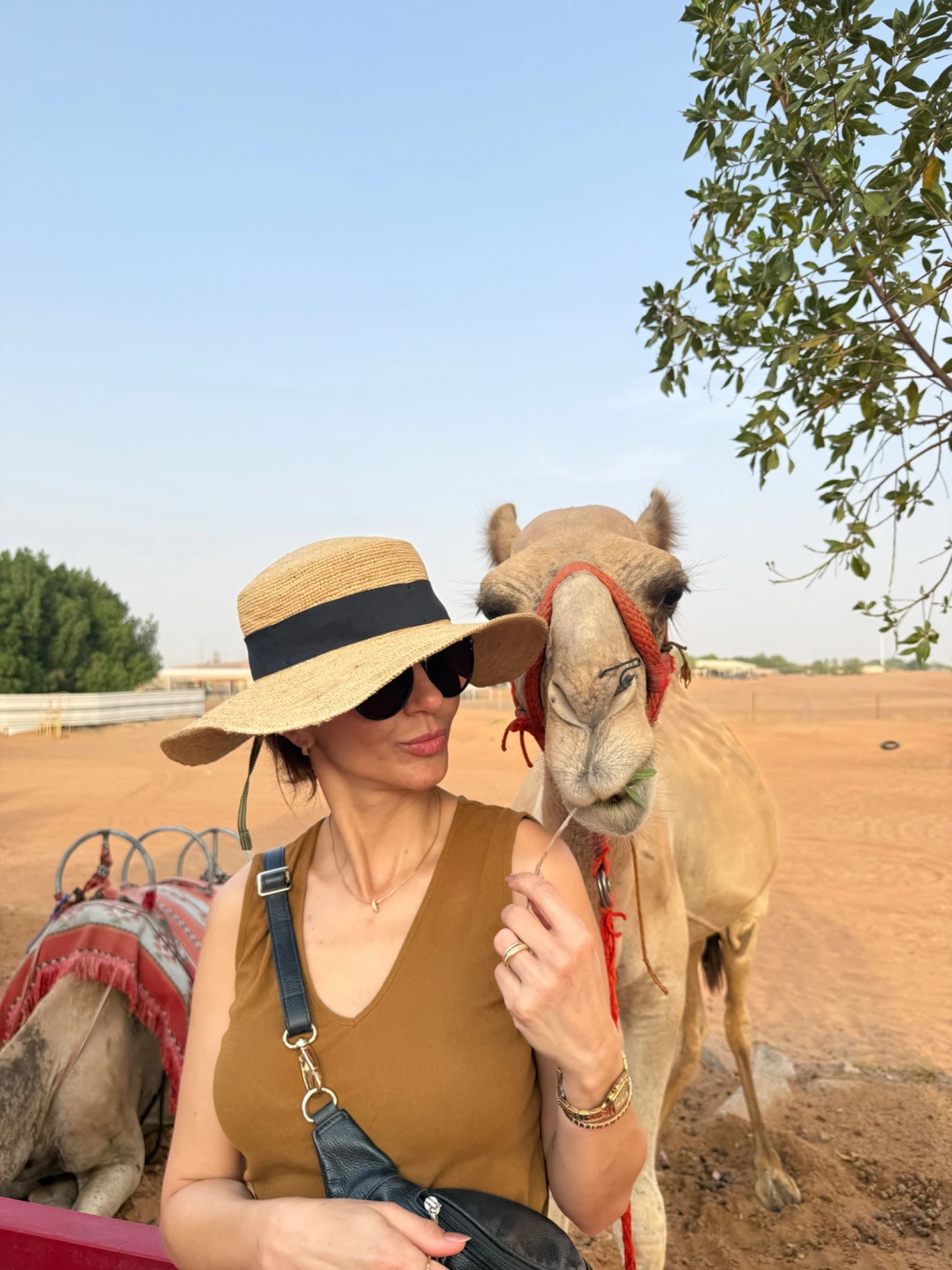 Renata de chapéu interagindo com um camelo em Dubai